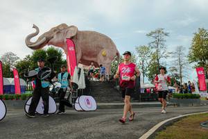 BIB: 
                            <button type="button" onclick="openModal(26529097)" class="btn btn-primary btn-sm float-right btn-popup" data-toggle="modal" data-target=".modal-high-quality">
                        <i class="fas fa-shopping-cart"></i> Add to Cart
                    </button>
                                            <button type="button" onclick="isThisMe(26529097, true)" class="btn btn-success btn-sm float-right btn-popup btn-isme hidden" data-toggle="tooltip" data-placement="bottom" title="นี่คือรูปของคุณใช่ไหม คลิกที่นี่เพื่อเอาเข้าอัลบั้ม">
                        <i class="fas fa-plus"></i> Add to album
                    </button>
                    <button type="button" onclick="isThisMe(26529097, false)" class="btn btn-warning btn-sm float-right btn-popup btn-isnotme hidden">
                        <i class="fas fa-ban"></i> Remove from album
                    </button>